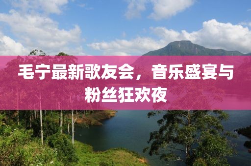 毛宁最新歌友会，音乐盛宴与粉丝狂欢夜