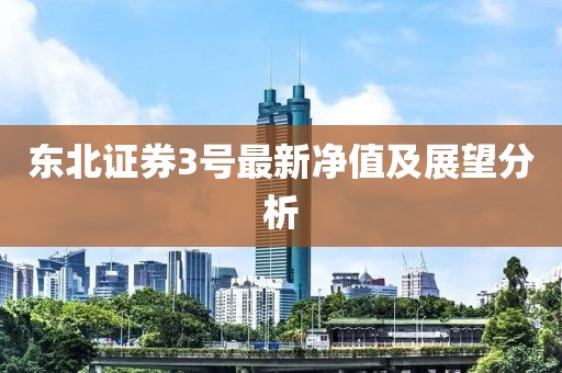 东北证券3号最新净值及展望分析
