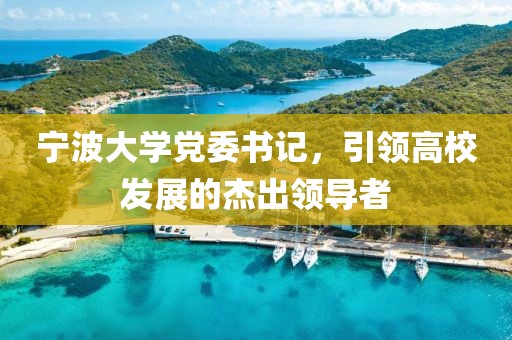 宁波大学党委书记，引领高校发展的杰出领导者