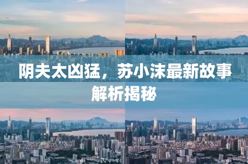 阴夫太凶猛，苏小沫最新故事解析揭秘