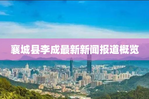 襄城县李成最新新闻报道概览