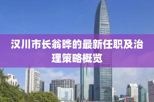 汉川市长翁晔的最新任职及治理策略概览