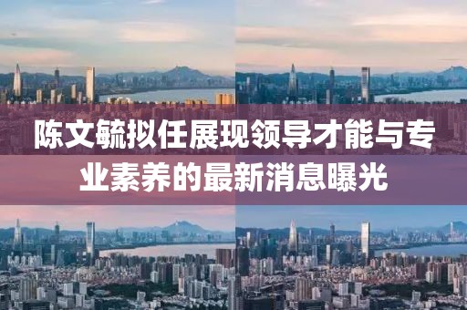 陈文毓拟任展现领导才能与专业素养的最新消息曝光