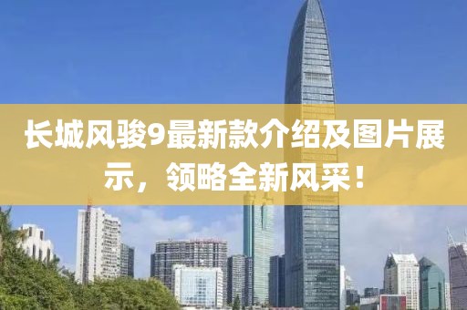 盘飞龙 第2页