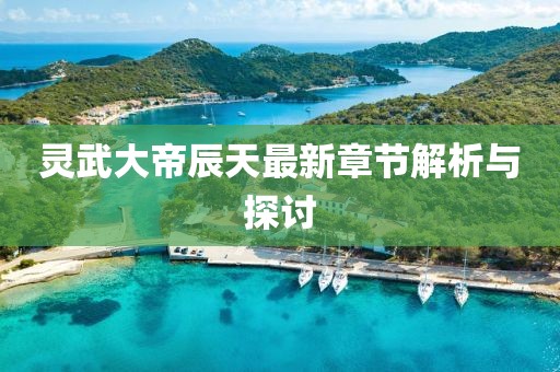灵武大帝辰天最新章节解析与探讨