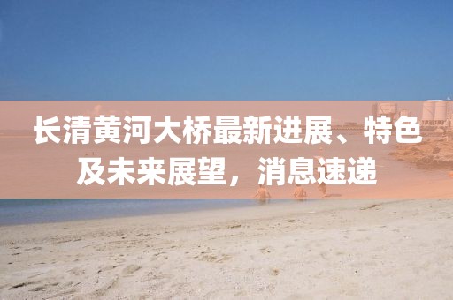 长清黄河大桥最新进展、特色及未来展望，消息速递