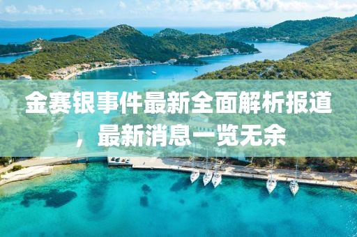 金赛银事件最新全面解析报道，最新消息一览无余
