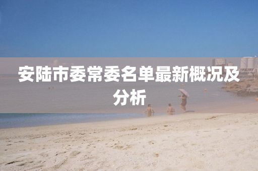 安陆市委常委名单最新概况及分析