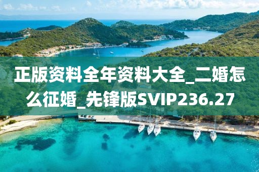 正版资料全年资料大全_二婚怎么征婚_先锋版SVIP236.27
