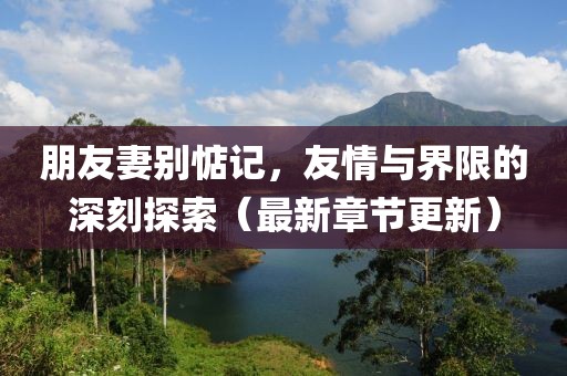 朋友妻别惦记，友情与界限的深刻探索（最新章节更新）