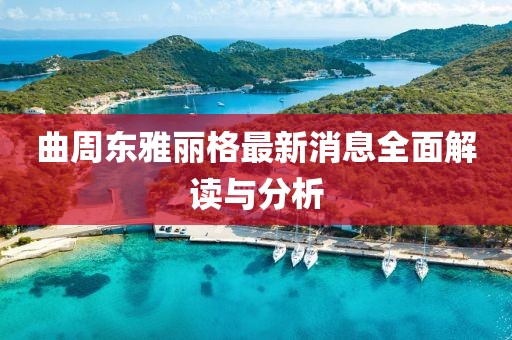 曲周东雅丽格最新消息全面解读与分析