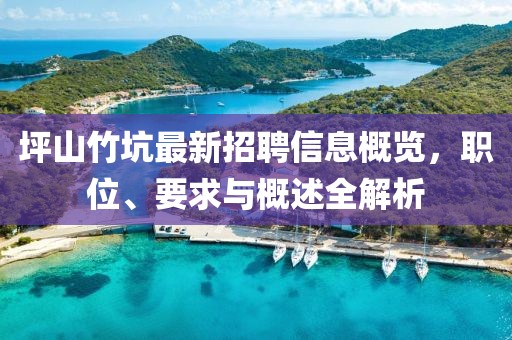 坪山竹坑最新招聘信息概览，职位、要求与概述全解析