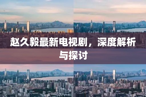 赵久毅最新电视剧，深度解析与探讨