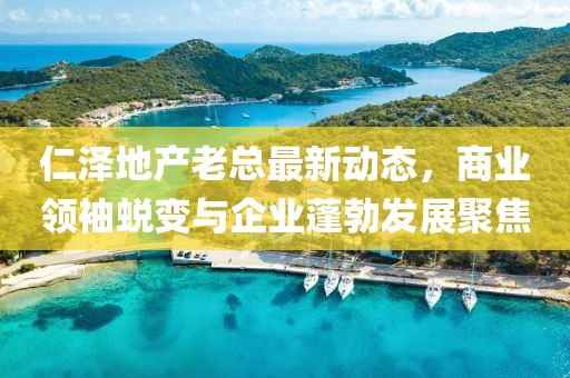 仁泽地产老总最新动态，商业领袖蜕变与企业蓬勃发展聚焦