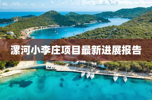 漯河小李庄项目最新进展报告