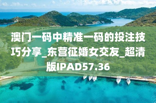 澳门一码中精准一码的投注技巧分享_东营征婚女交友_超清版IPAD57.36