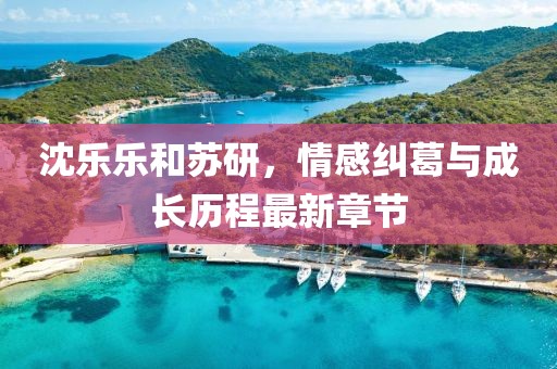 沈乐乐和苏研，情感纠葛与成长历程最新章节