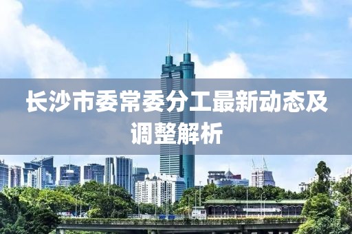 长沙市委常委分工最新动态及调整解析