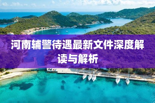 河南辅警待遇最新文件深度解读与解析