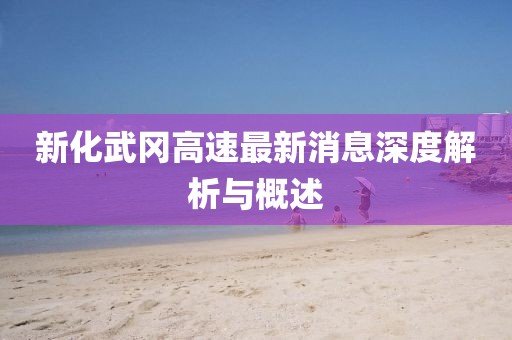 新化武冈高速最新消息深度解析与概述