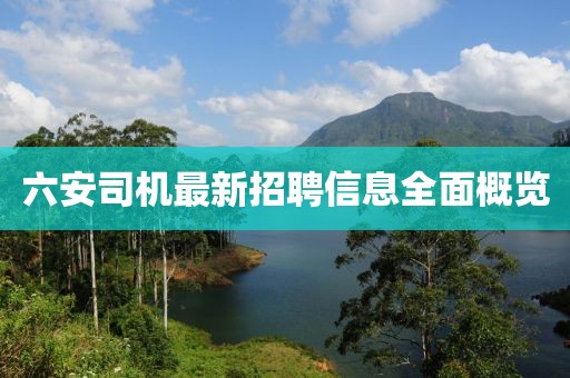 六安司机最新招聘信息全面概览