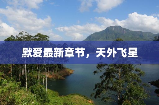 默爱最新章节，天外飞星