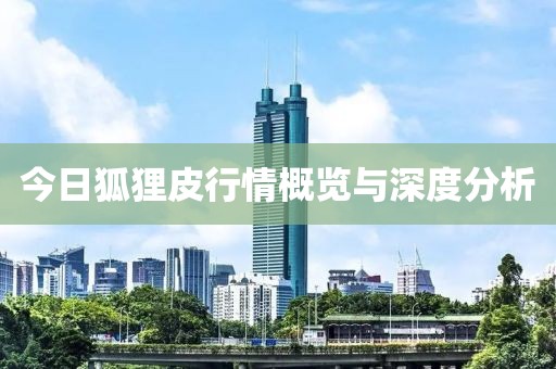 今日狐狸皮行情概览与深度分析