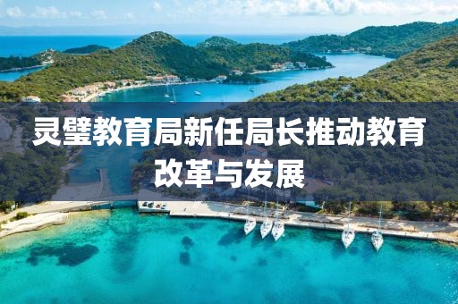 灵璧教育局新任局长推动教育改革与发展