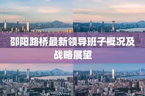 邵阳路桥最新领导班子概况及战略展望