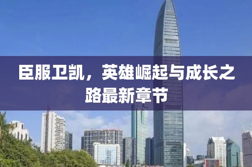 臣服卫凯，英雄崛起与成长之路最新章节
