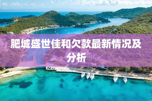 肥城盛世佳和欠款最新情况及分析