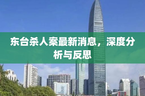 东台杀人案最新消息，深度分析与反思