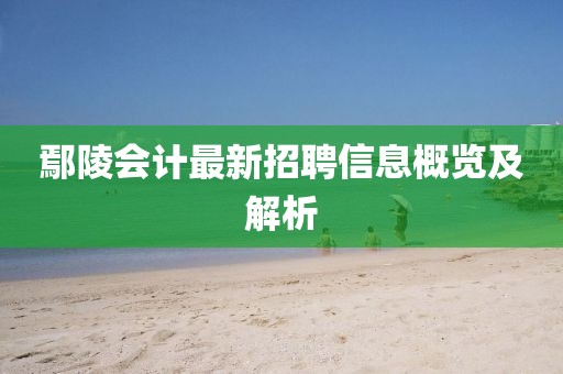鄢陵会计最新招聘信息概览及解析