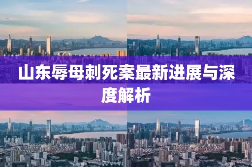 山东辱母刺死案最新进展与深度解析
