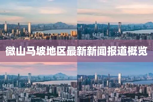 微山马坡地区最新新闻报道概览