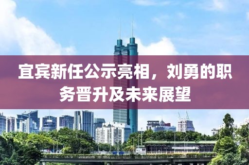 宜宾新任公示亮相，刘勇的职务晋升及未来展望