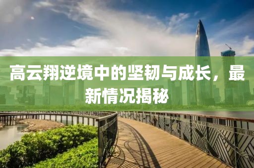 高云翔逆境中的坚韧与成长，最新情况揭秘