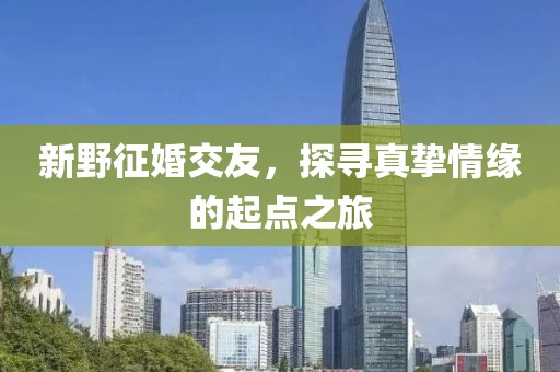 新野征婚交友，探寻真挚情缘的起点之旅