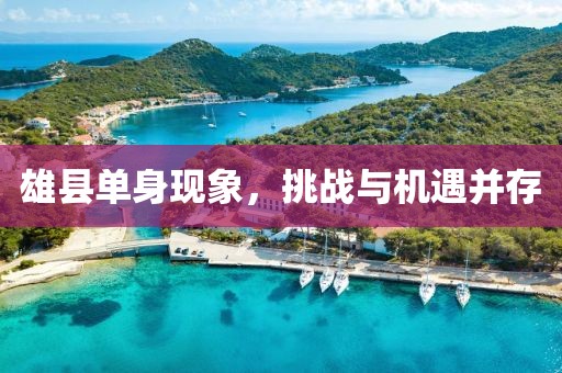 雄县单身现象，挑战与机遇并存