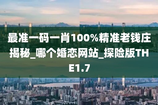 最准一码一肖100%精准老钱庄揭秘_哪个婚恋网站_探险版THE1.7