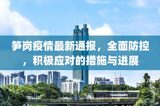笋岗疫情最新通报，全面防控，积极应对的措施与进展