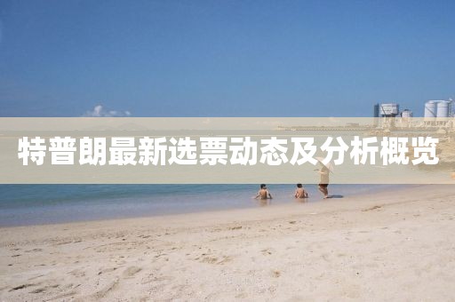 特普朗最新选票动态及分析概览
