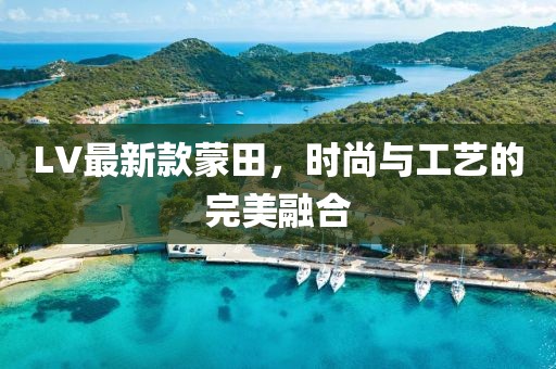 LV最新款蒙田，时尚与工艺的完美融合