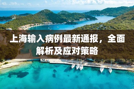 上海输入病例最新通报，全面解析及应对策略