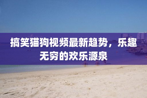 搞笑猫狗视频最新趋势，乐趣无穷的欢乐源泉