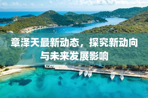 章泽天最新动态，探究新动向与未来发展影响