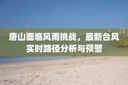 唐山面临风雨挑战，最新台风实时路径分析与预警