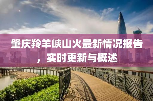 肇庆羚羊峡山火最新情况报告，实时更新与概述