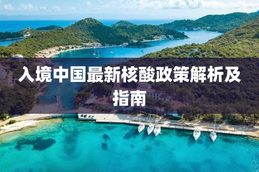 入境中国最新核酸政策解析及指南