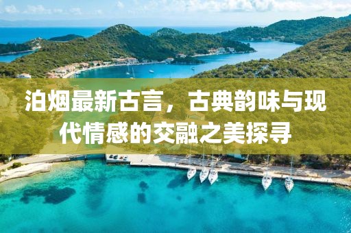泊烟最新古言，古典韵味与现代情感的交融之美探寻